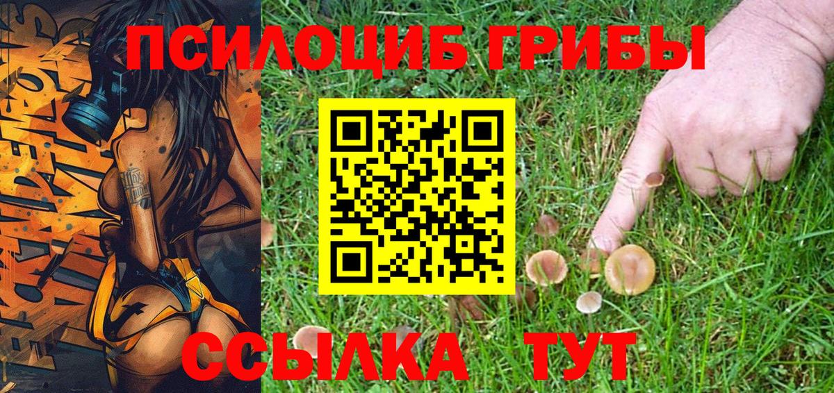 Галлюциногенные грибы Magic Shrooms  Вход с VPN  Менделеевск  Псилоцибиновые грибы мицелий 
